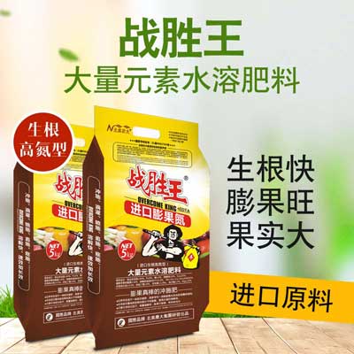 茄子用什么沖施肥好？什么時(shí)候使用？