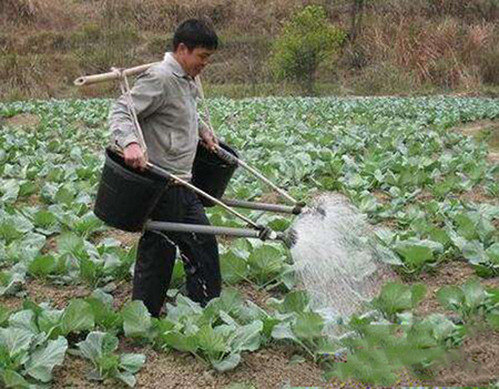 沖施肥是什么？是方法還是肥料的分類？